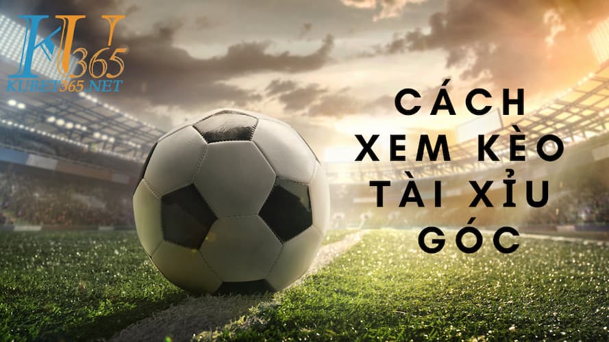 Cách xem kèo tài xỉu góc