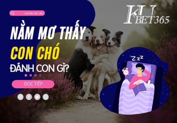 MƠ THẤY 3 CON CHÓ