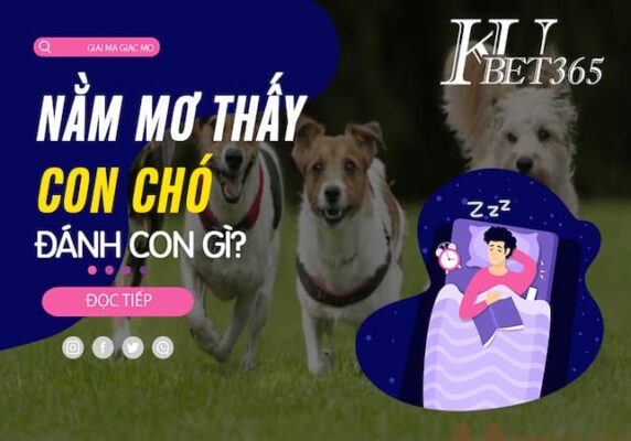 MƠ THẤY 4 CON CHÓ