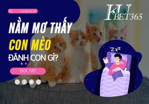 MƠ THẤY 4 CON MÈO