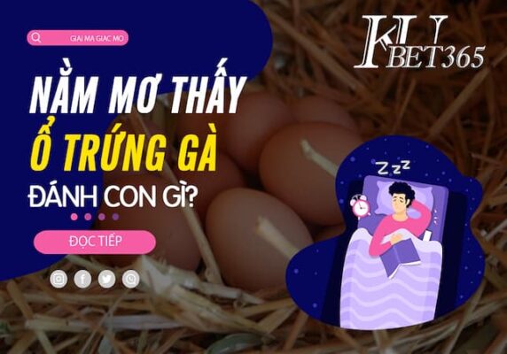 MƠ THẤY Ổ TRỨNG GÀ