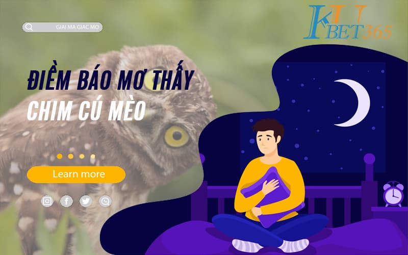 Mơ thấy chim cú mèo