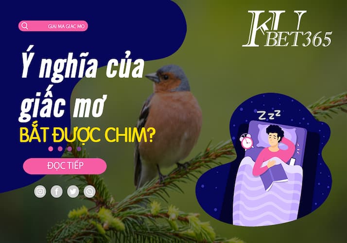 Ý nghĩa của giấc mơ liên quan đến bắt được chim 