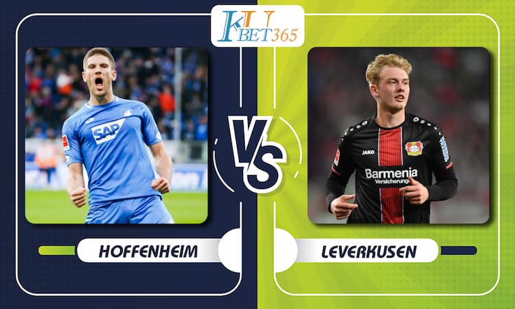 Hoffenheim vs Bayer 04 Leverkusen