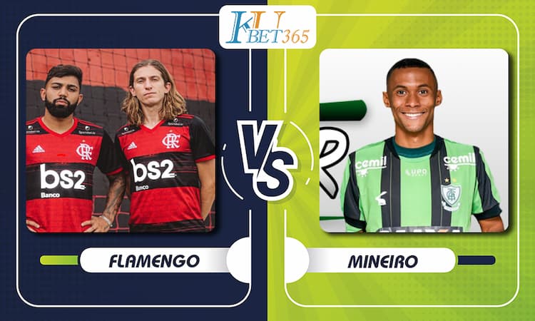 Flamengo vs America Mineiro